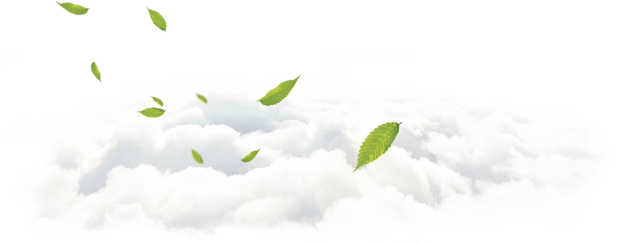 Фоновое изображение с облаками и листьями